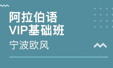 入門阿拉伯語培訓班哪里有？